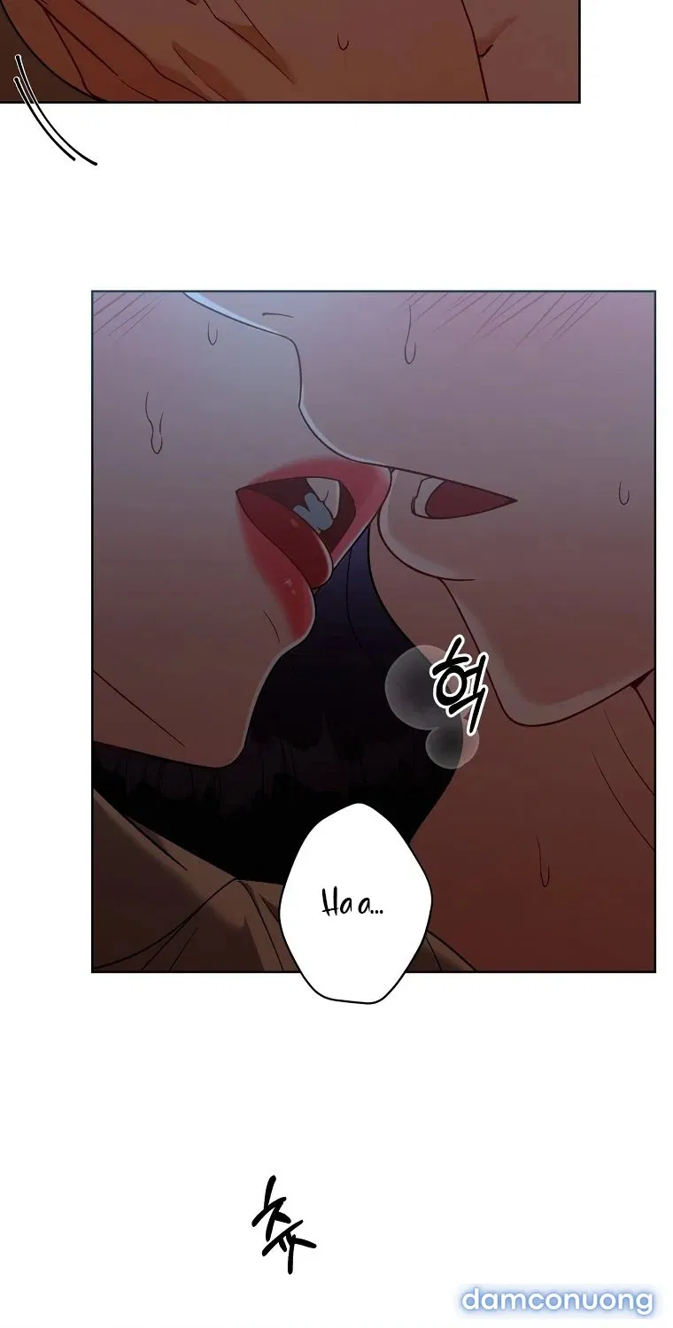 [18+] Cơn Gió Trong Lành 