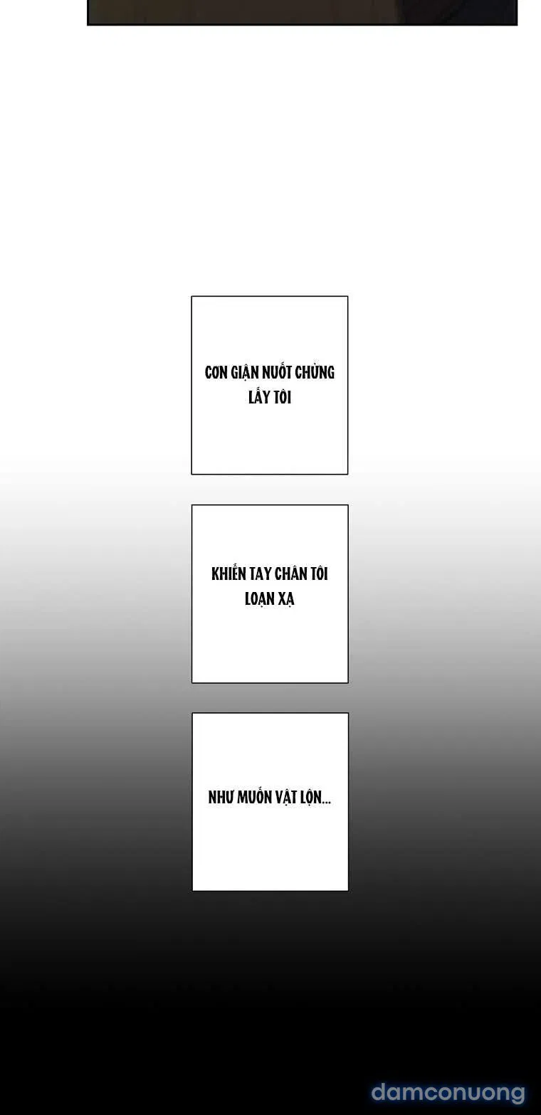 [18+] Cơn Gió Trong Lành 
