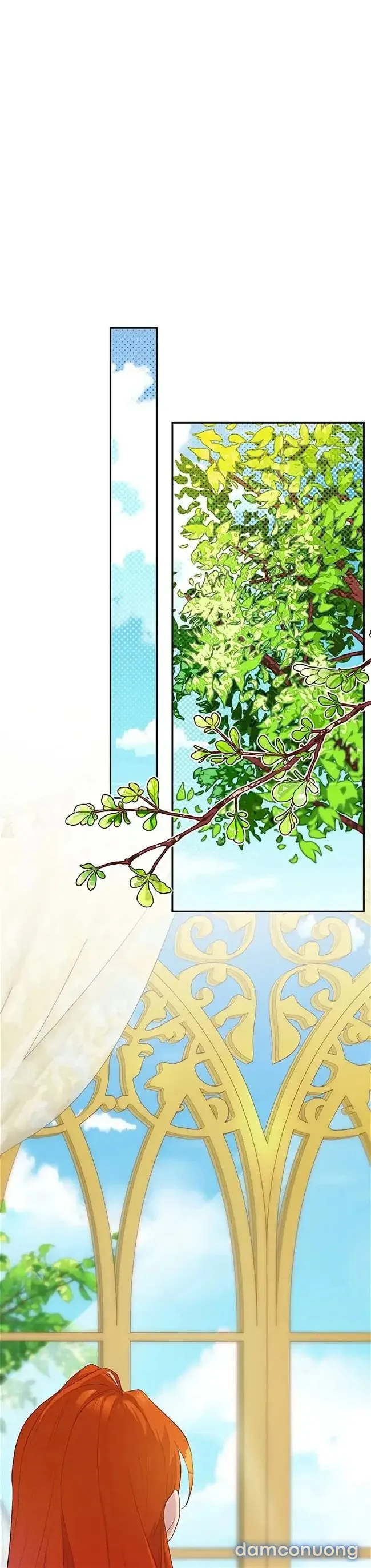 Cuộc Sống Vương Giả Của Người Tình Giả 