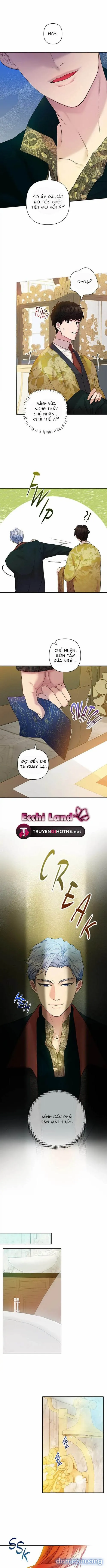 Cuộc Sống Vương Giả Của Người Tình Giả 