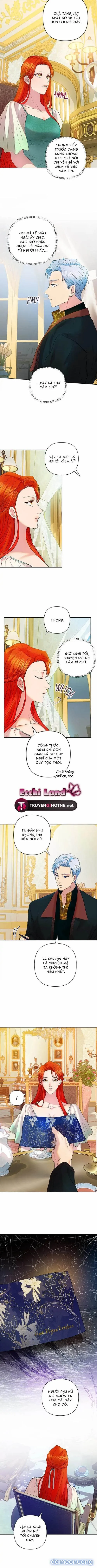 Cuộc Sống Vương Giả Của Người Tình Giả 
