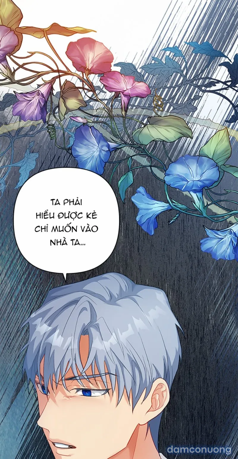 Cuộc Sống Vương Giả Của Người Tình Giả 