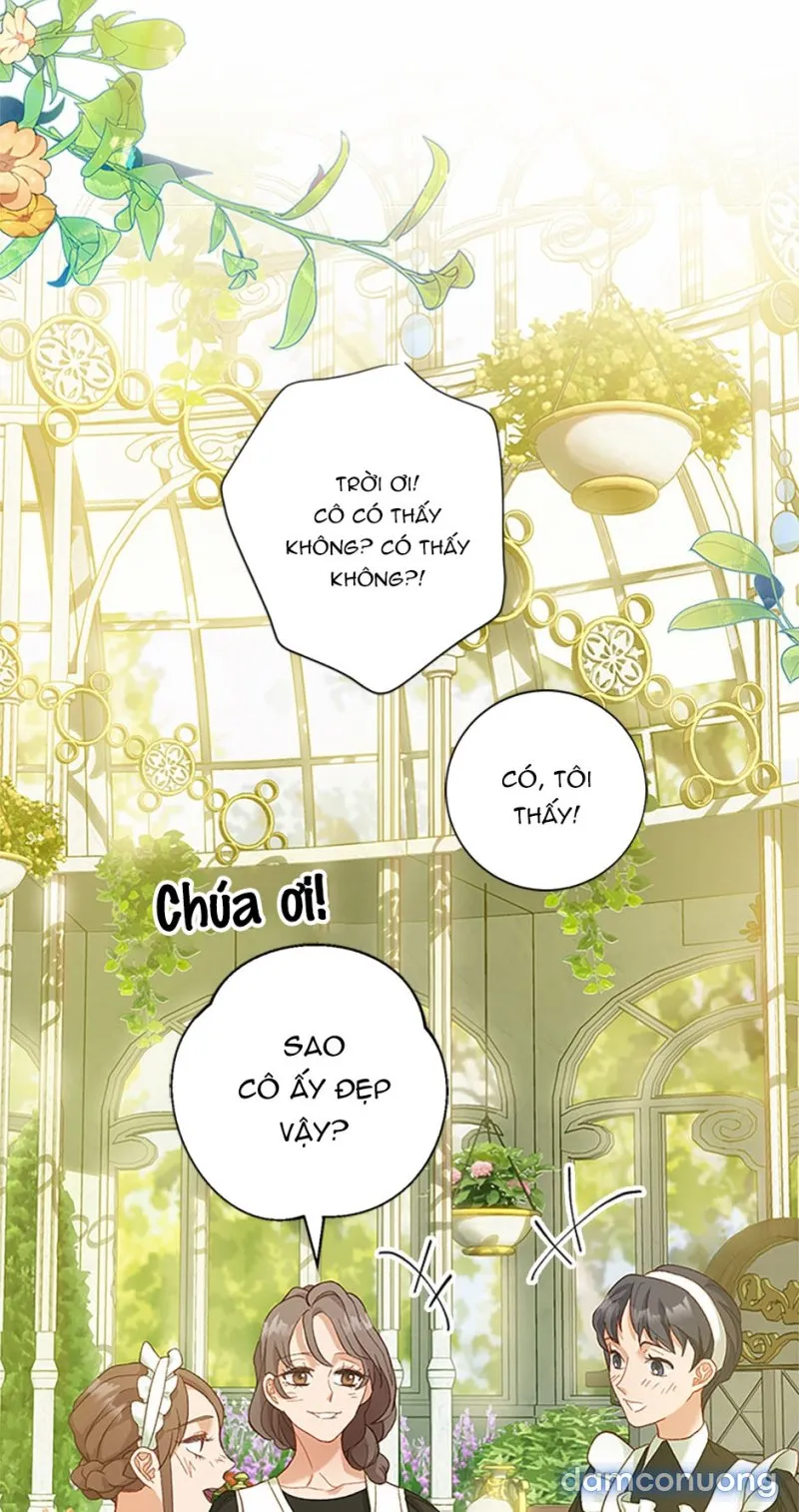 Cuộc Sống Vương Giả Của Người Tình Giả 