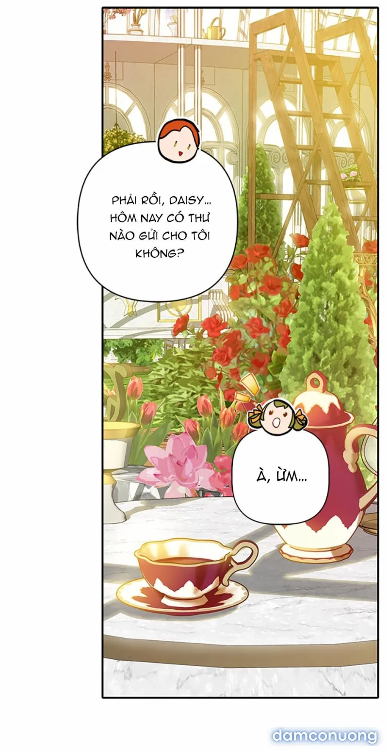 Cuộc Sống Vương Giả Của Người Tình Giả 