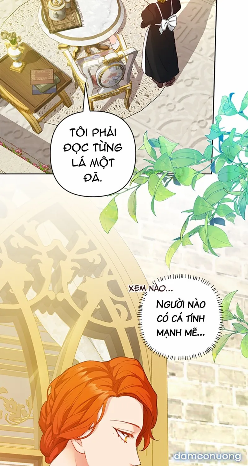 Cuộc Sống Vương Giả Của Người Tình Giả 