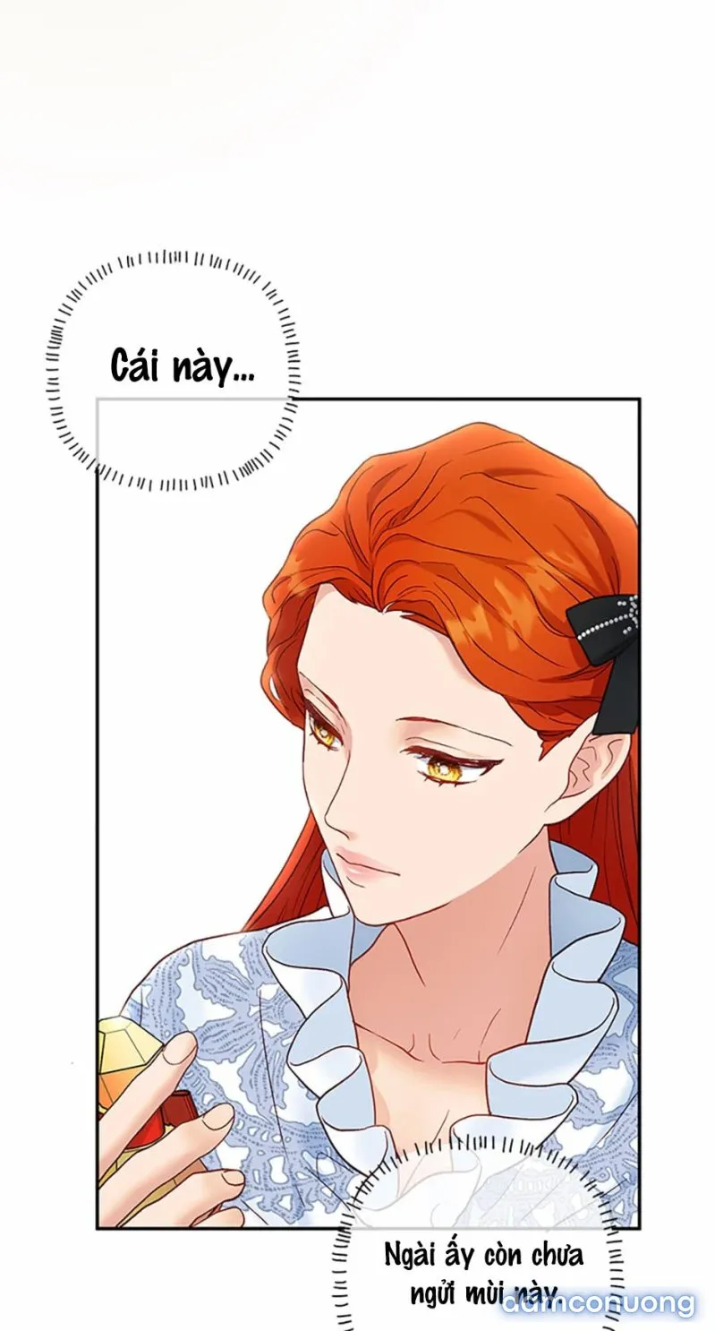 Cuộc Sống Vương Giả Của Người Tình Giả 