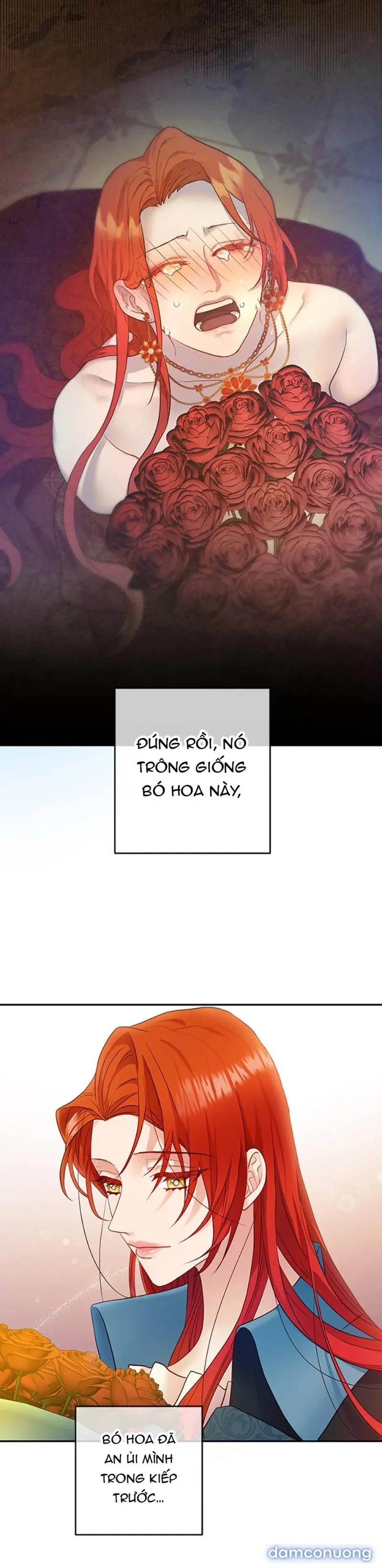 Cuộc Sống Vương Giả Của Người Tình Giả 