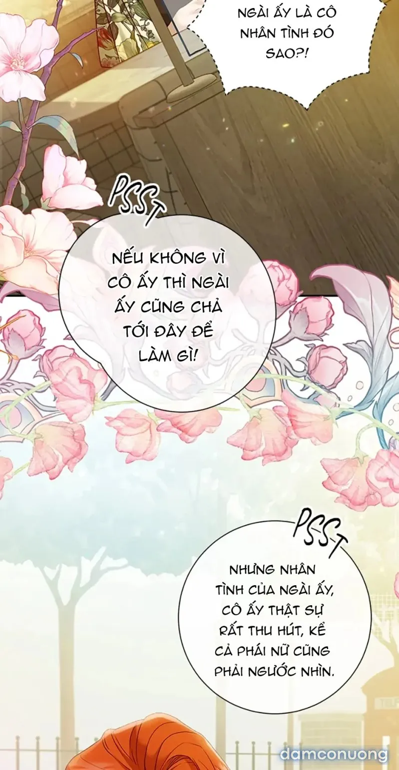 Cuộc Sống Vương Giả Của Người Tình Giả 