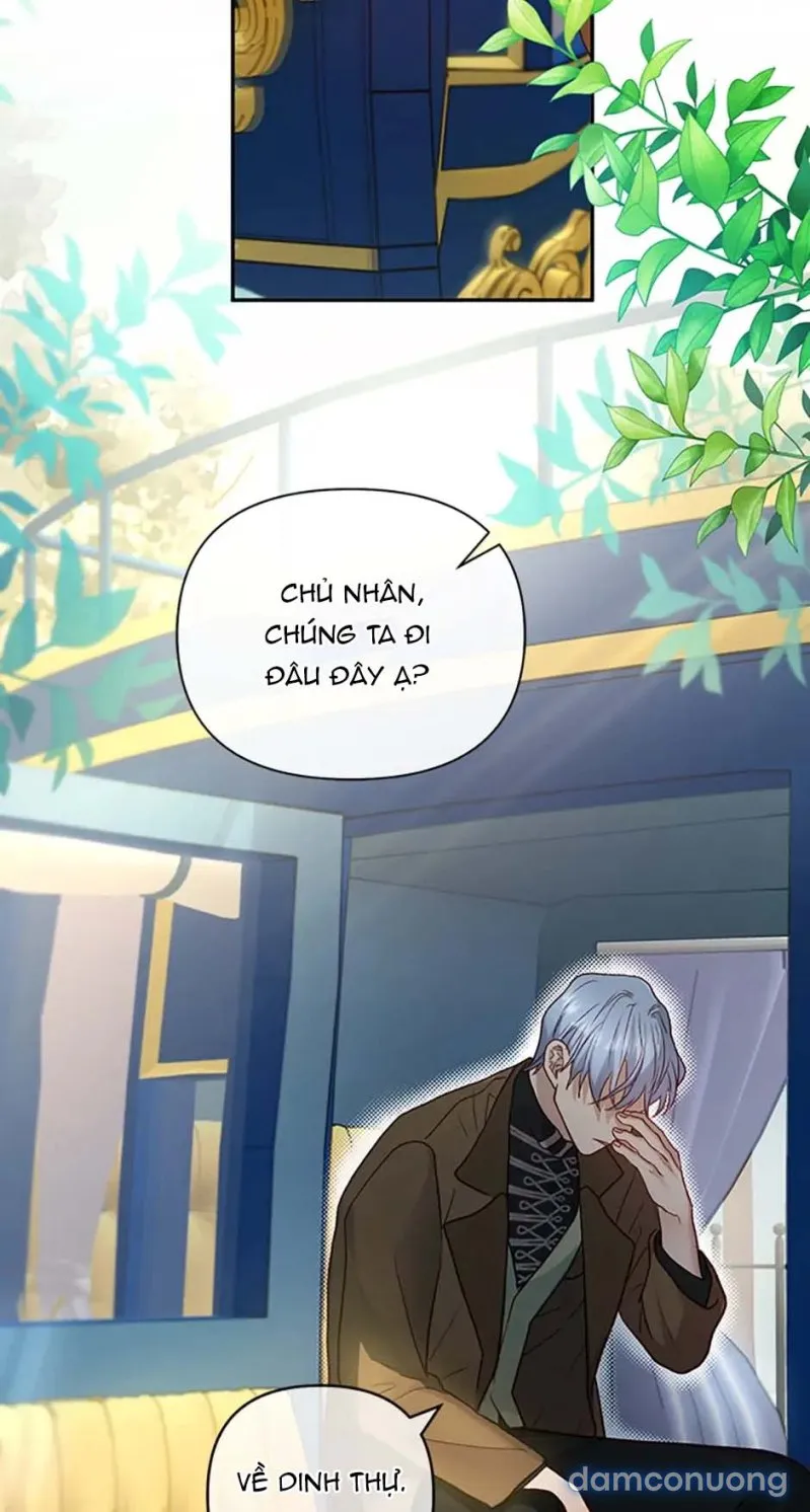 Cuộc Sống Vương Giả Của Người Tình Giả 