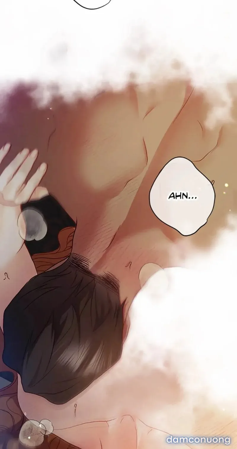 Cuộc Sống Vương Giả Của Người Tình Giả 