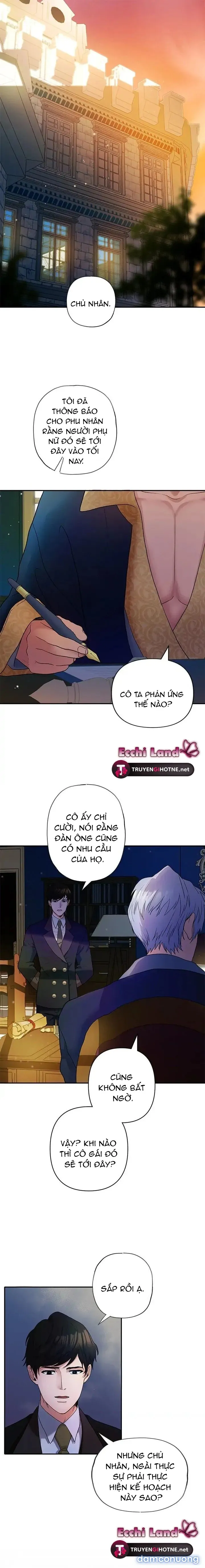 Cuộc Sống Vương Giả Của Người Tình Giả 