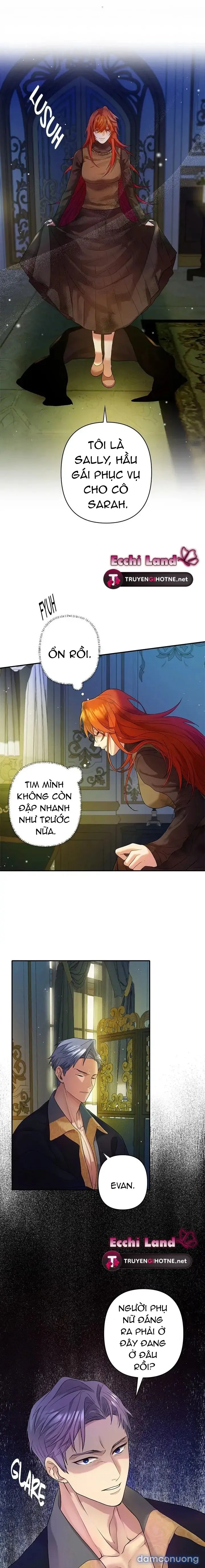 Cuộc Sống Vương Giả Của Người Tình Giả 