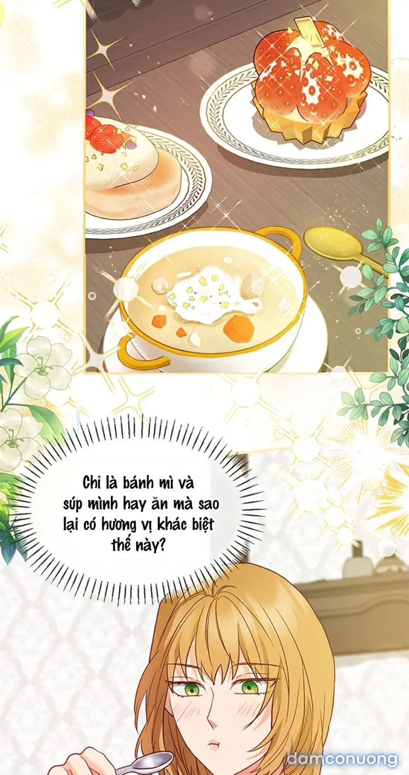 Cuộc Sống Vương Giả Của Người Tình Giả 