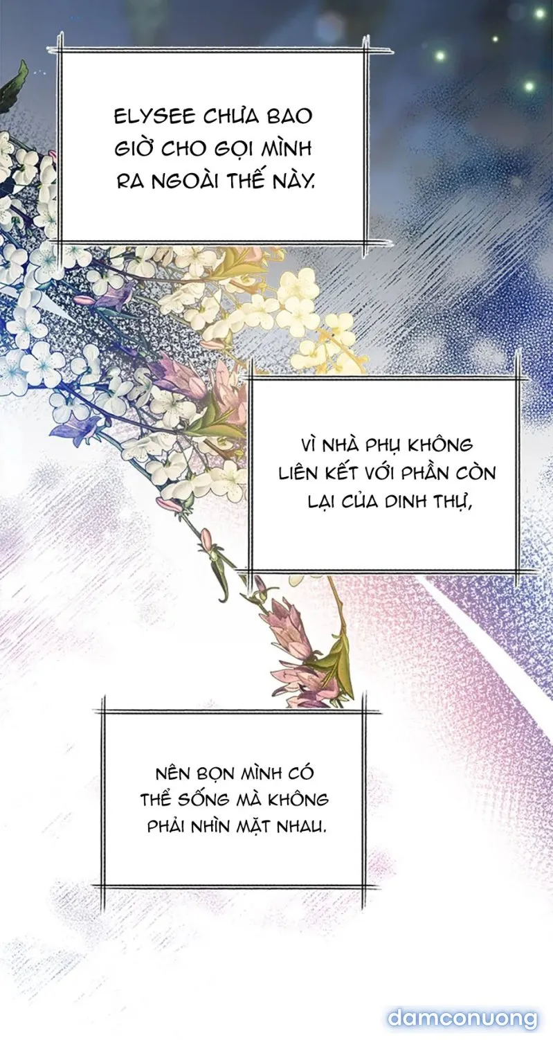 Cuộc Sống Vương Giả Của Người Tình Giả 