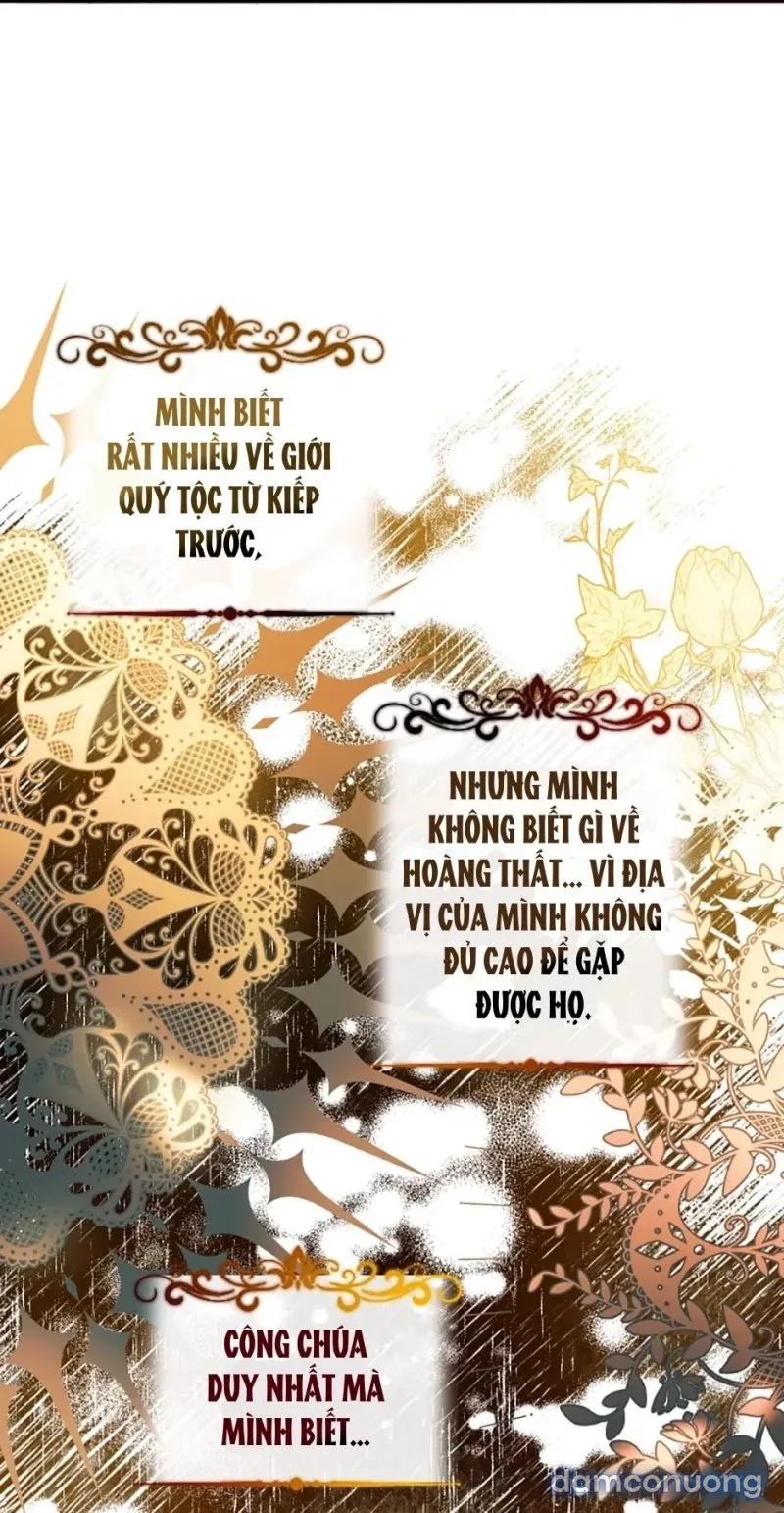 Cuộc Sống Vương Giả Của Người Tình Giả 