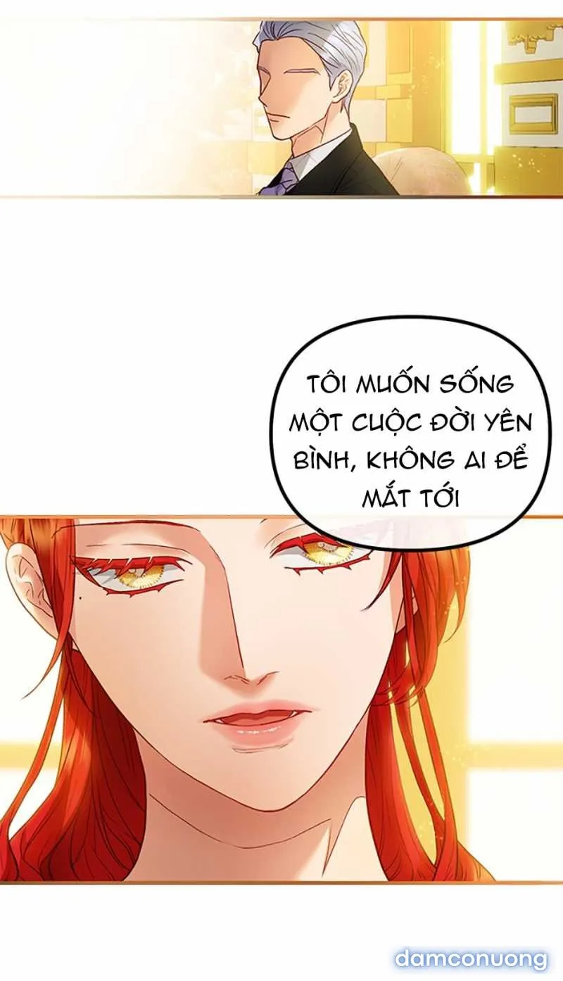 Cuộc Sống Vương Giả Của Người Tình Giả 