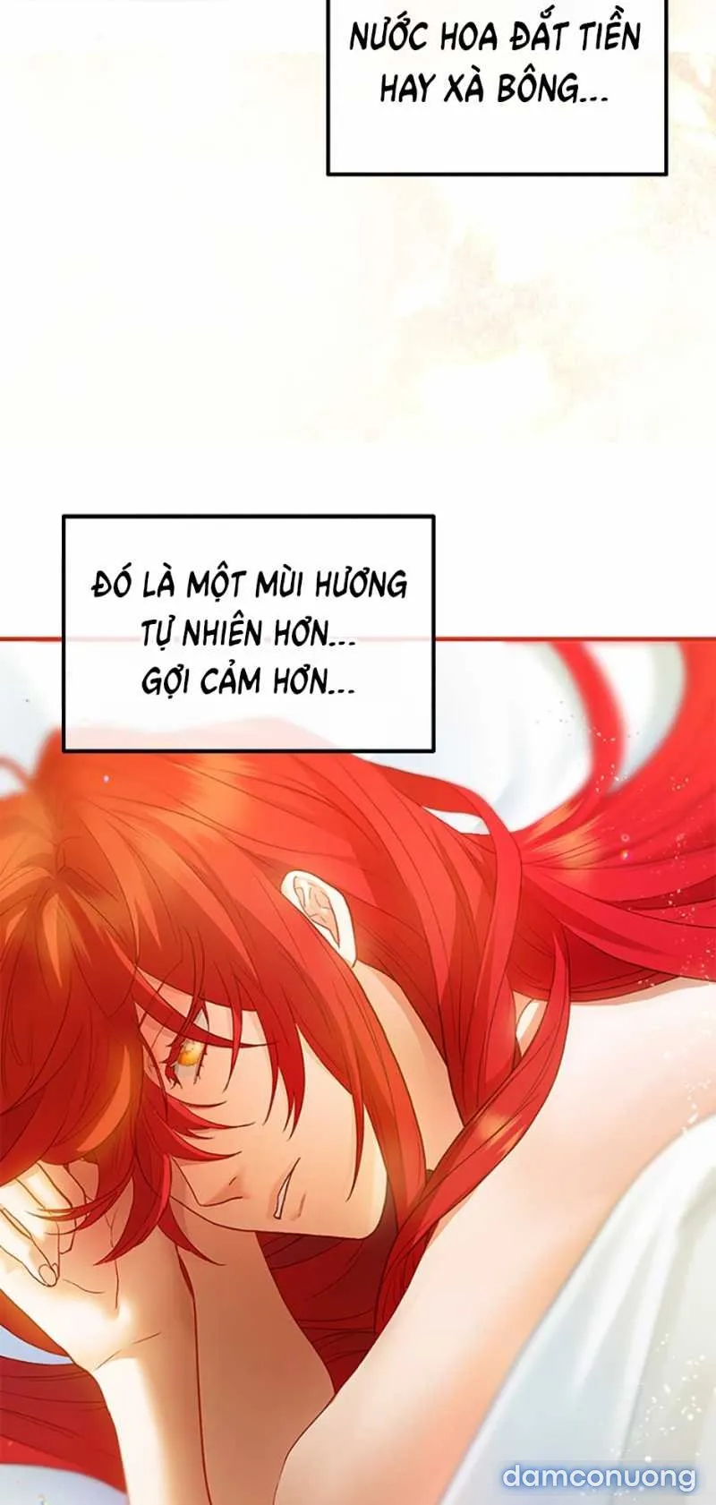 Cuộc Sống Vương Giả Của Người Tình Giả 