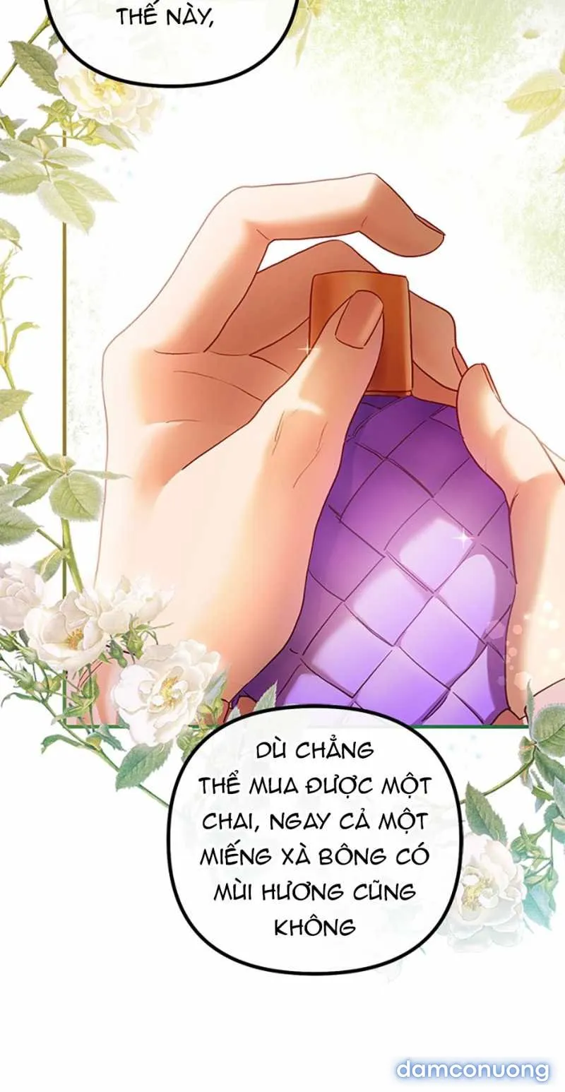 Cuộc Sống Vương Giả Của Người Tình Giả 