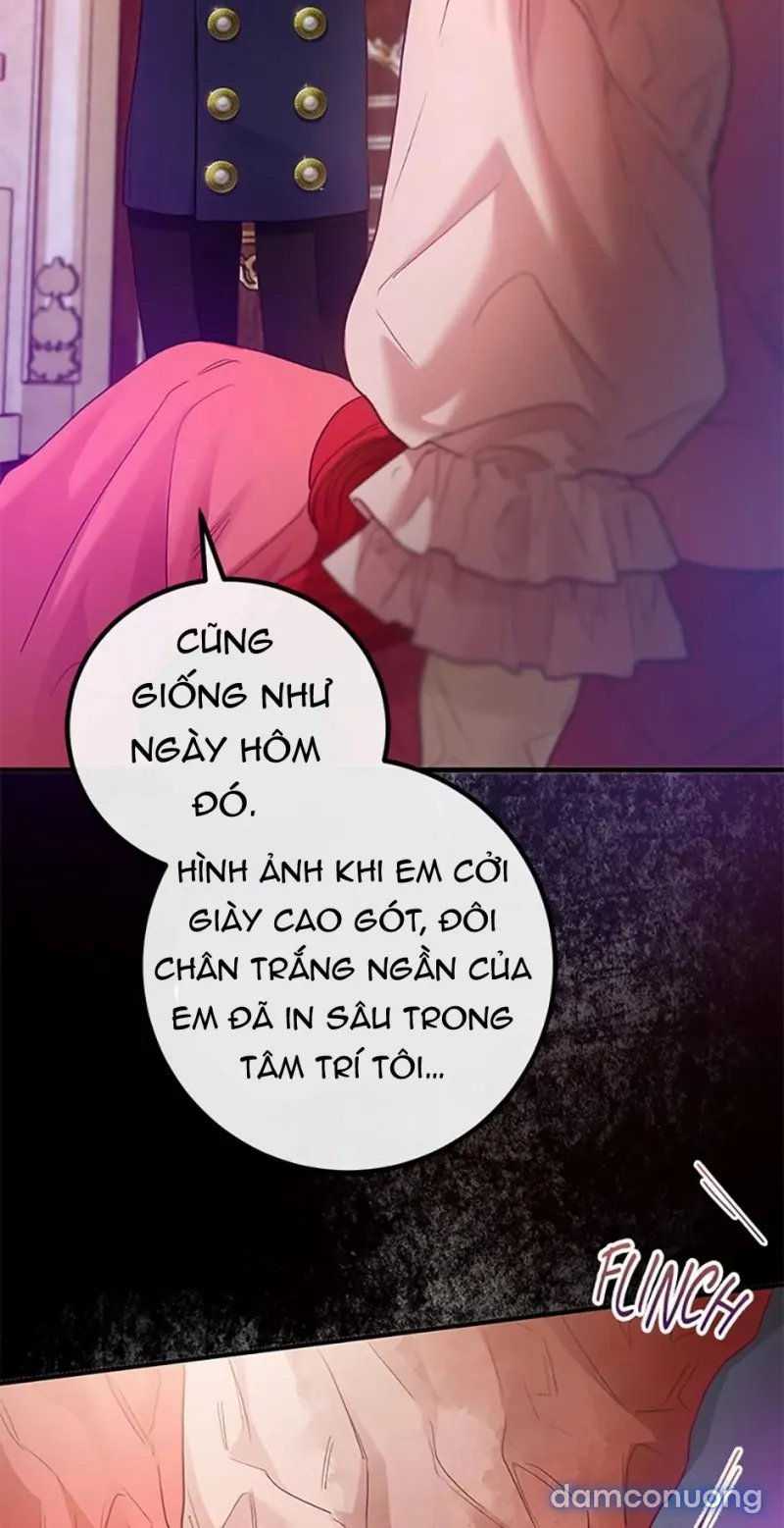Cuộc Sống Vương Giả Của Người Tình Giả 