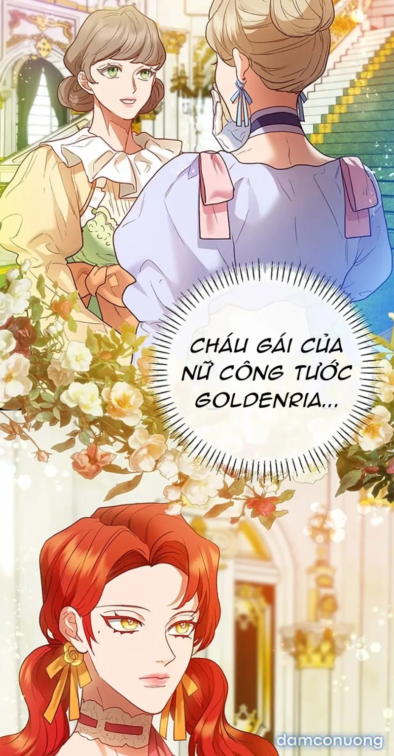 Cuộc Sống Vương Giả Của Người Tình Giả 