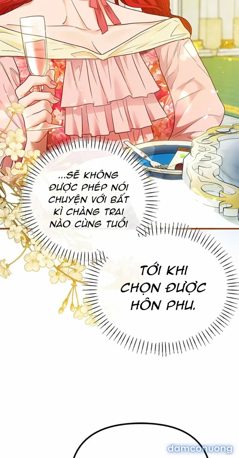 Cuộc Sống Vương Giả Của Người Tình Giả 