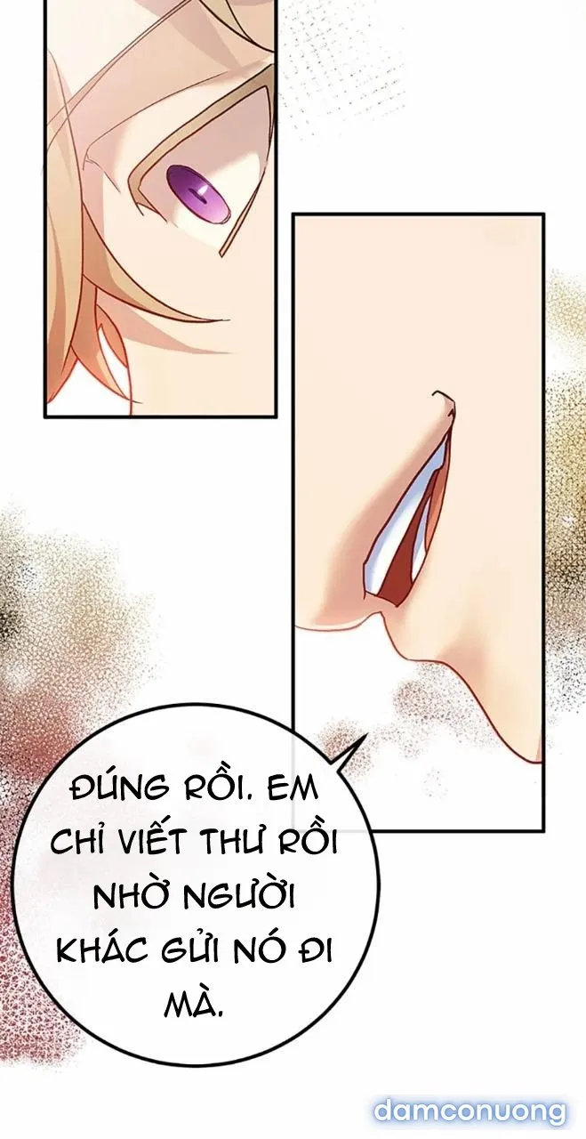 Cuộc Sống Vương Giả Của Người Tình Giả 