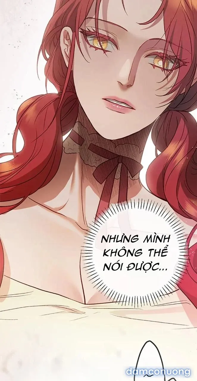 Cuộc Sống Vương Giả Của Người Tình Giả 