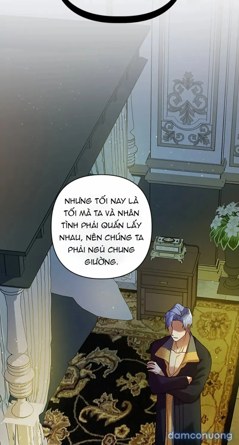 Cuộc Sống Vương Giả Của Người Tình Giả 