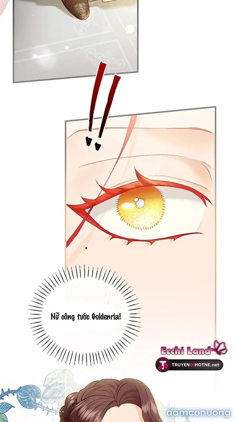 Cuộc Sống Vương Giả Của Người Tình Giả 
