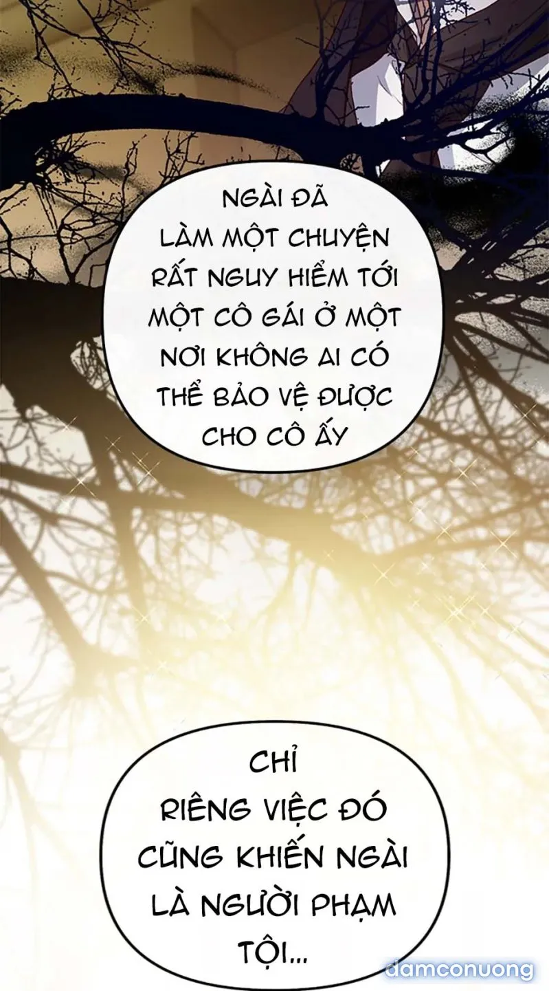 Cuộc Sống Vương Giả Của Người Tình Giả 