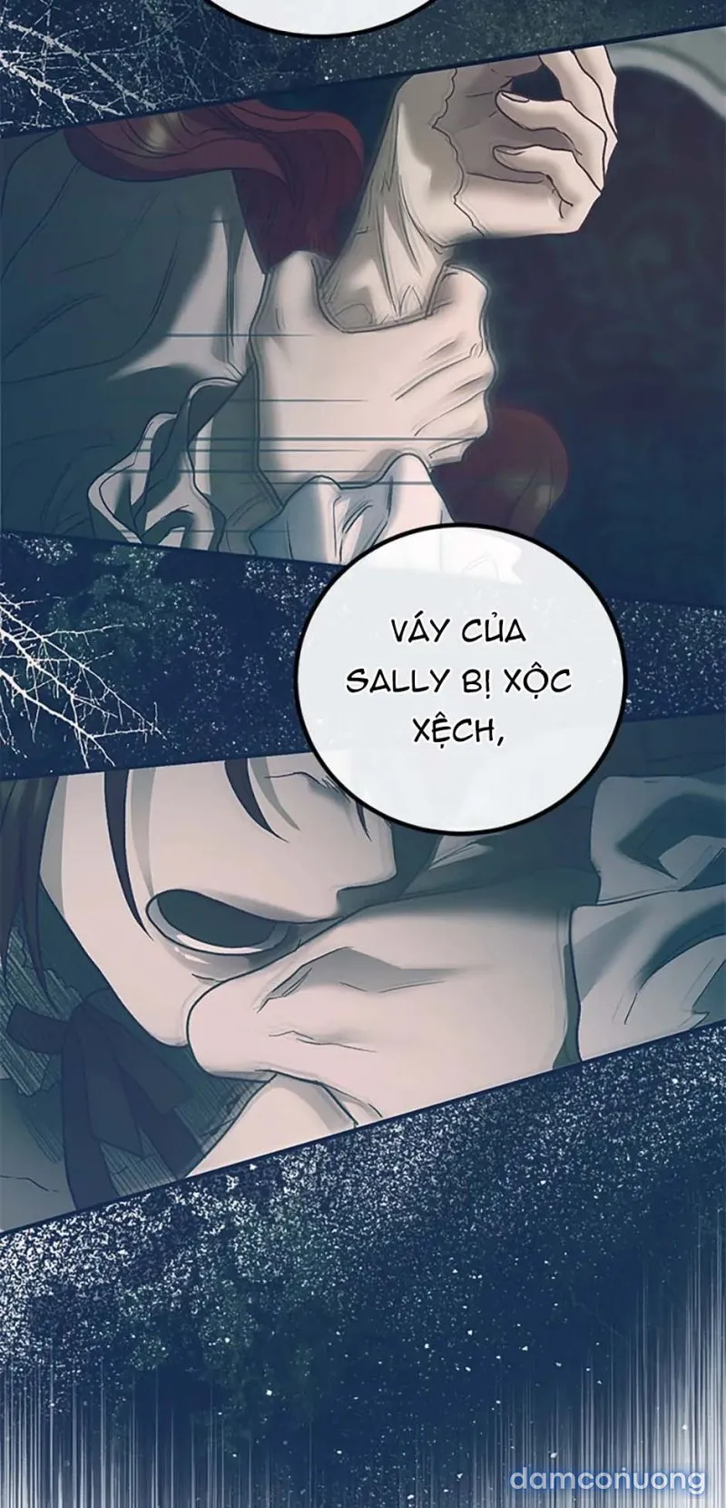Cuộc Sống Vương Giả Của Người Tình Giả 