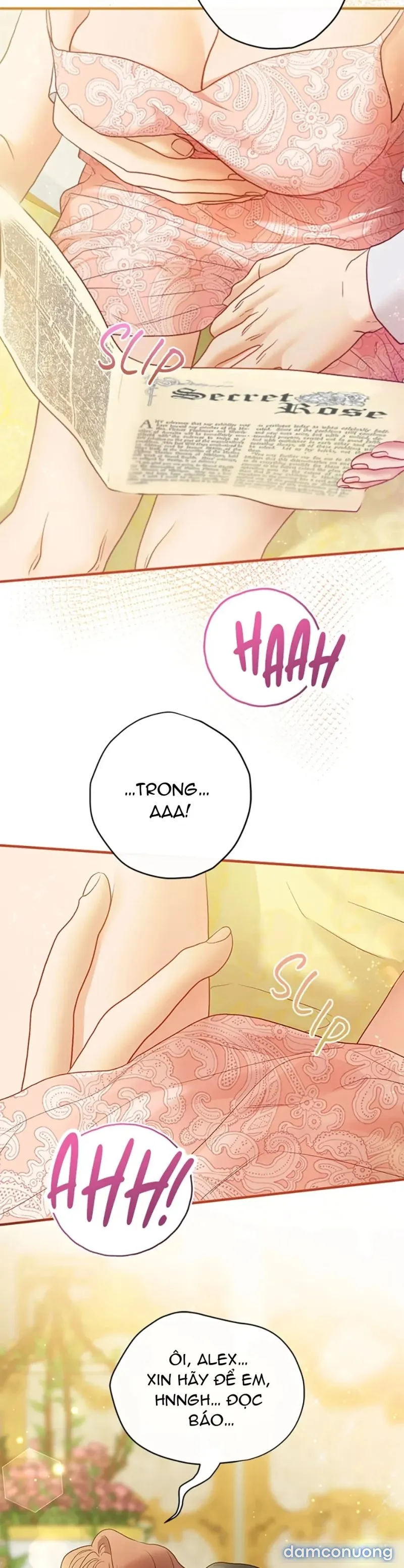 Cuộc Sống Vương Giả Của Người Tình Giả 