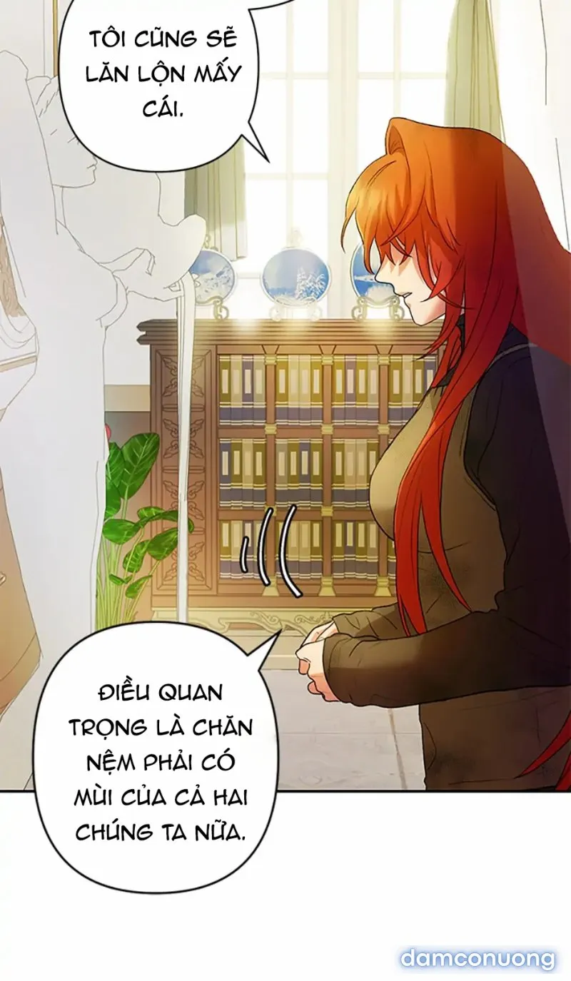 Cuộc Sống Vương Giả Của Người Tình Giả 
