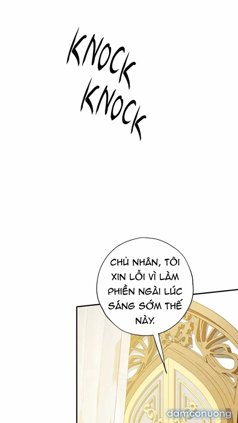 Cuộc Sống Vương Giả Của Người Tình Giả 