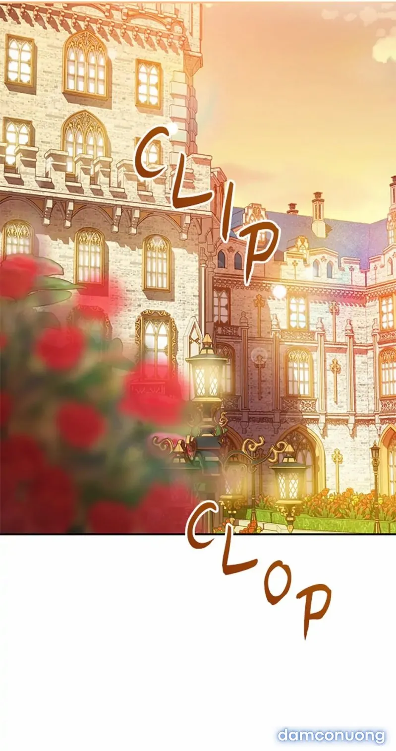 Cuộc Sống Vương Giả Của Người Tình Giả 