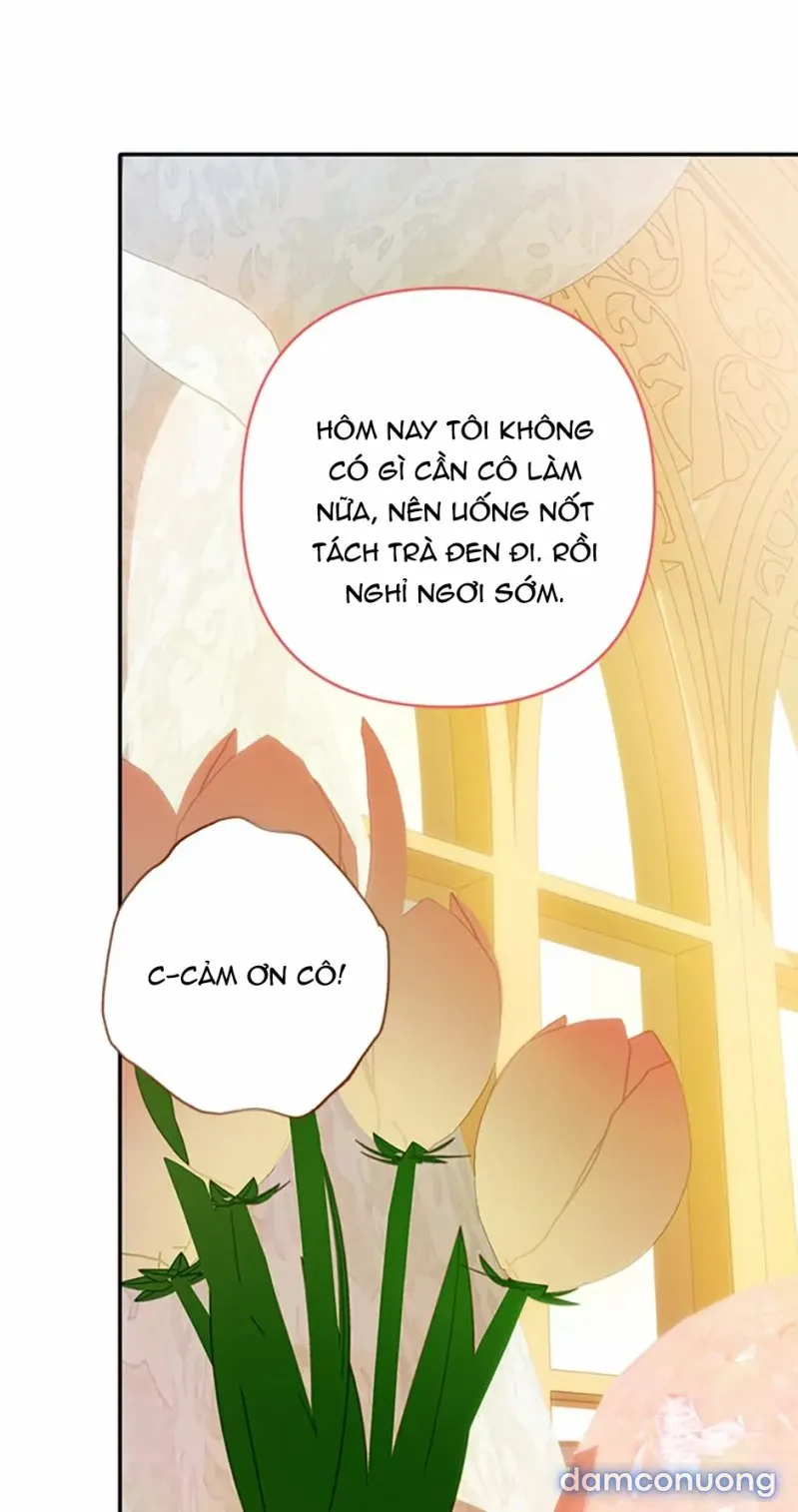 Cuộc Sống Vương Giả Của Người Tình Giả 