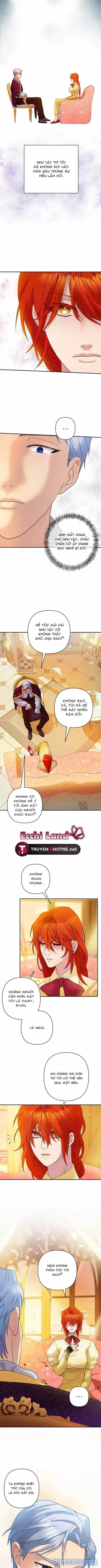 Cuộc Sống Vương Giả Của Người Tình Giả 