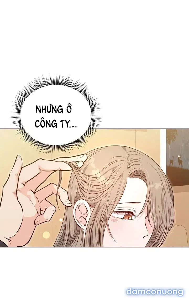 [18+] Tuổi 20 Của Sinh Viên Trường Thể Thao 