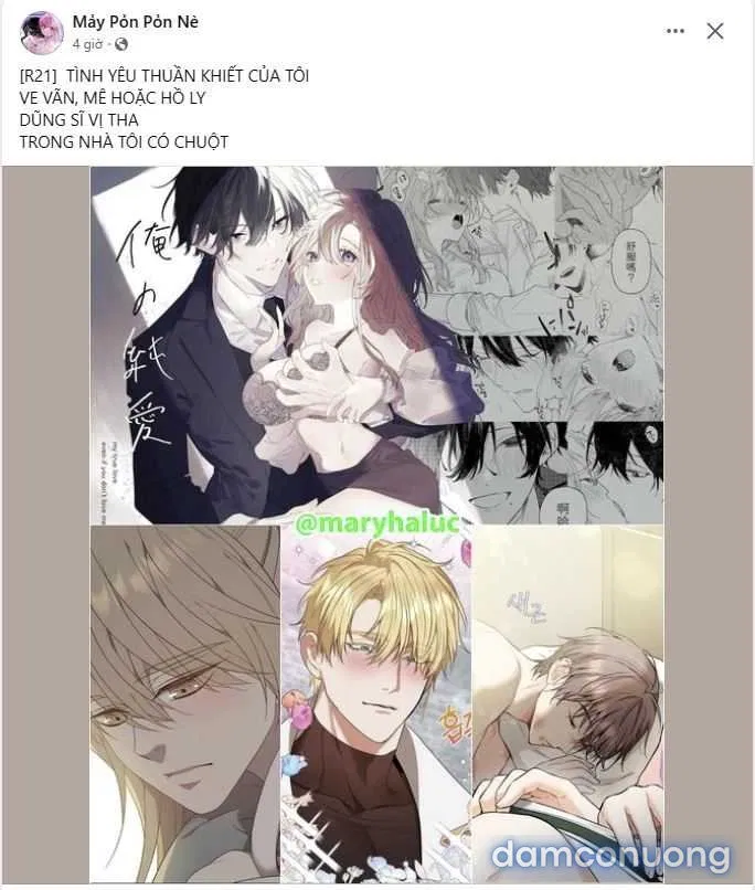 [18+] Tuổi 20 Của Sinh Viên Trường Thể Thao 