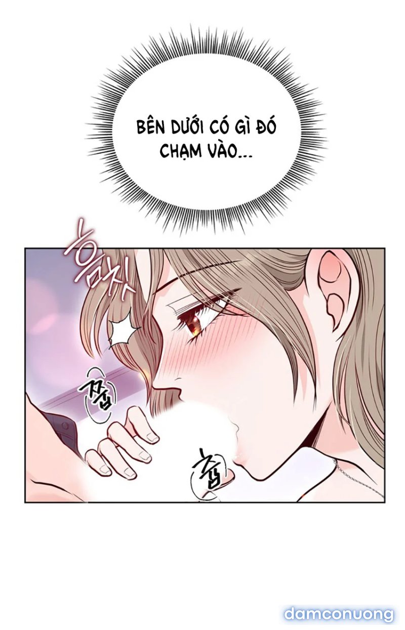 [18+] Tuổi 20 Của Sinh Viên Trường Thể Thao 