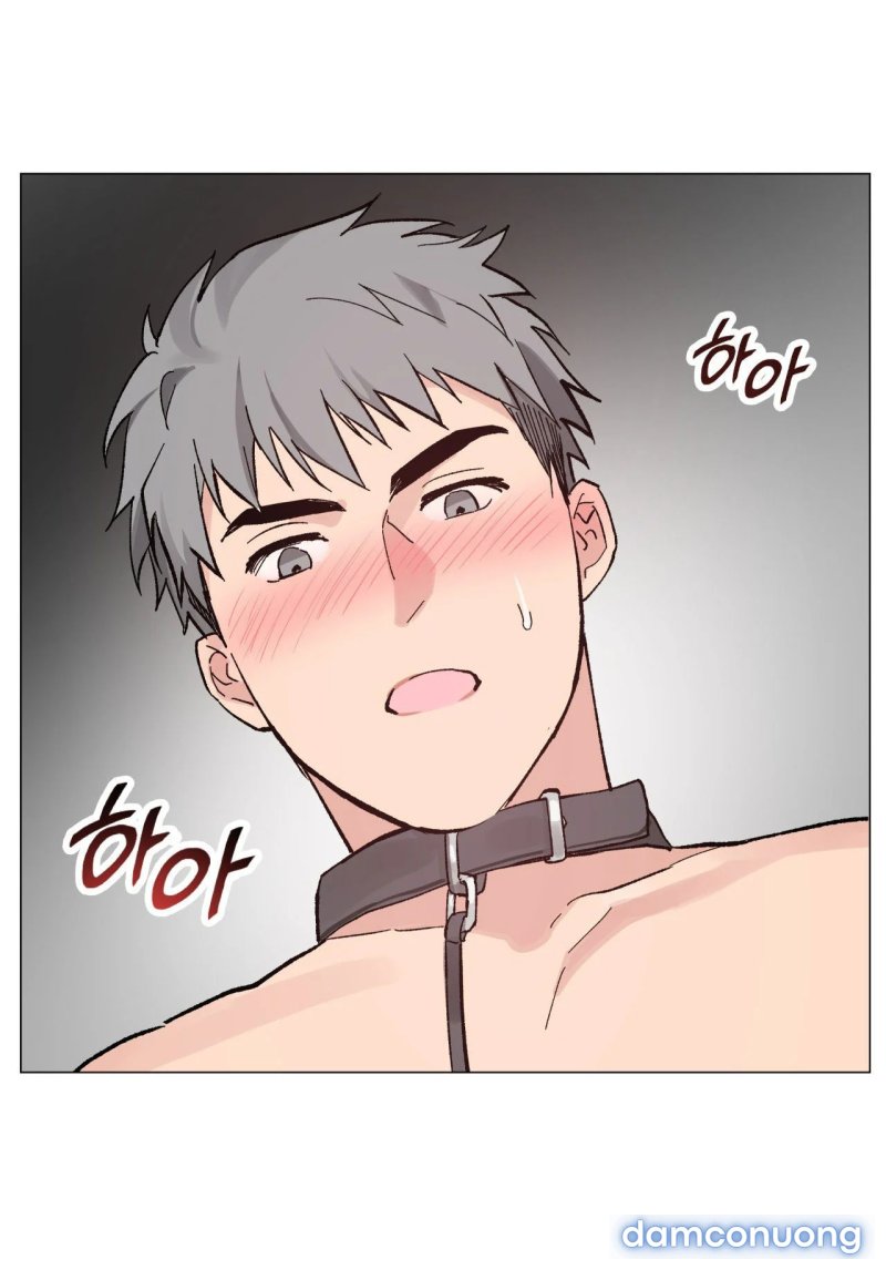 [18+] CHƠI ĐÙA TÌNH YÊU 