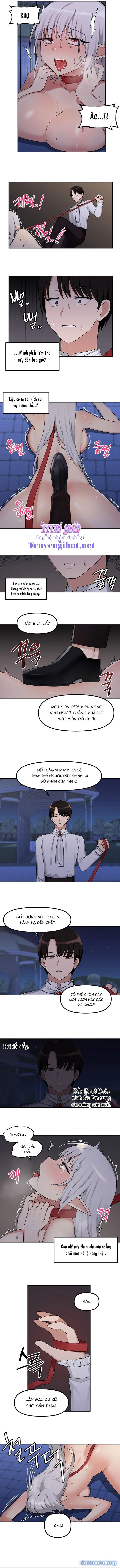 Ả Elf Thích Bị Sỉ Nhục 