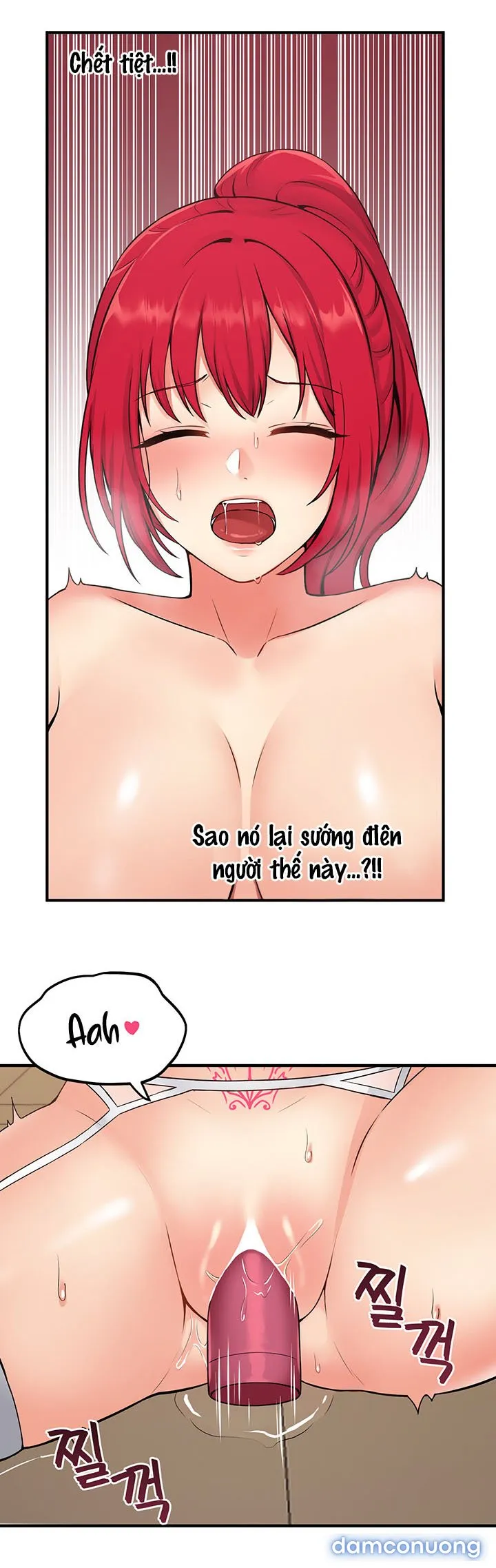Ả Elf Thích Bị Sỉ Nhục 