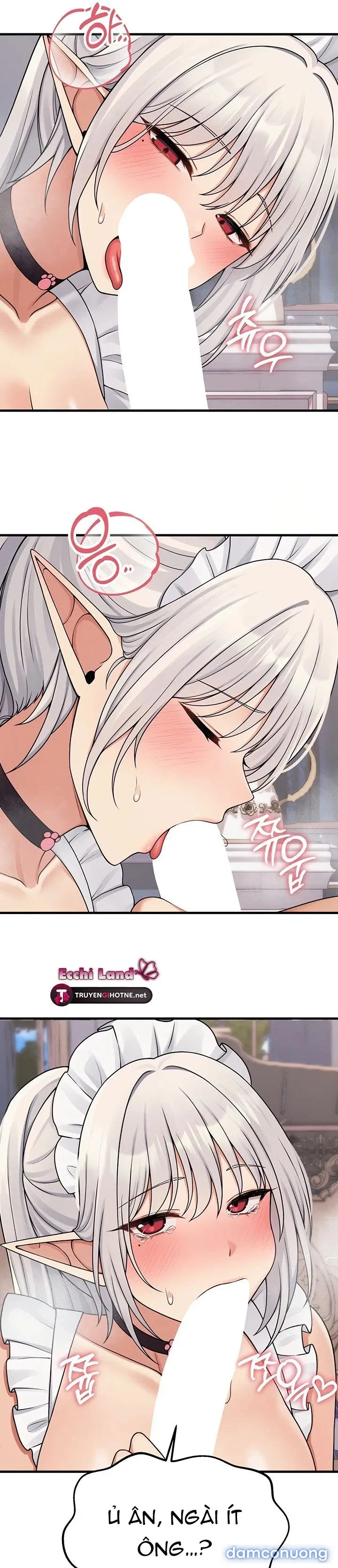 Ả Elf Thích Bị Sỉ Nhục 