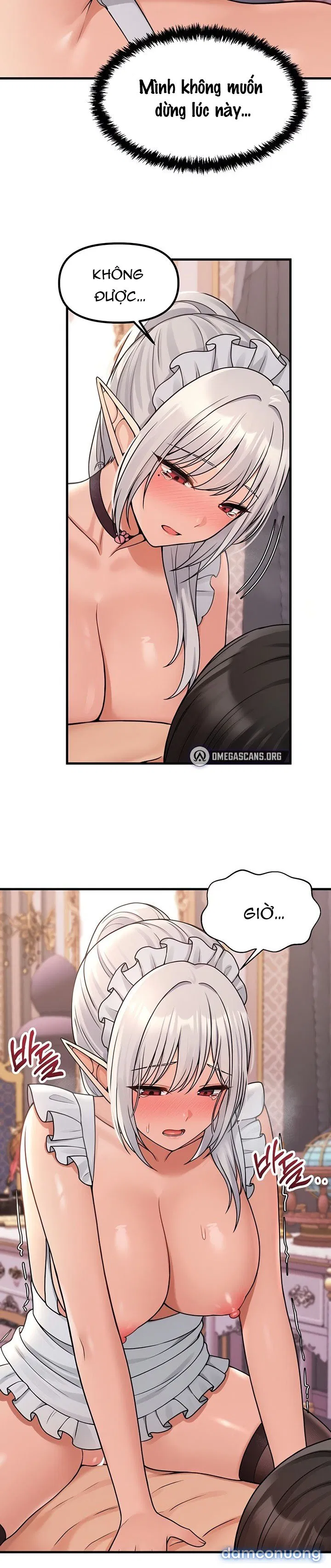 Ả Elf Thích Bị Sỉ Nhục 