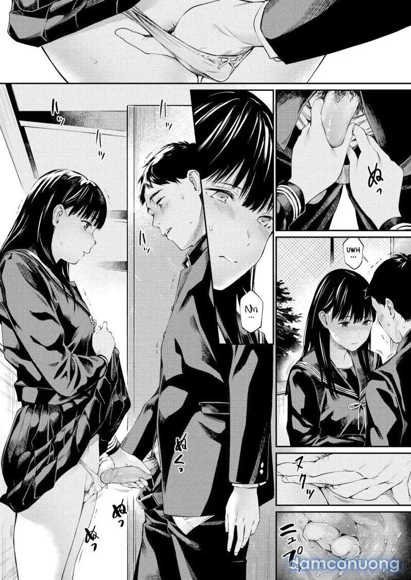 [18+] Truyện Ngắn Của Hoshito Lucky 