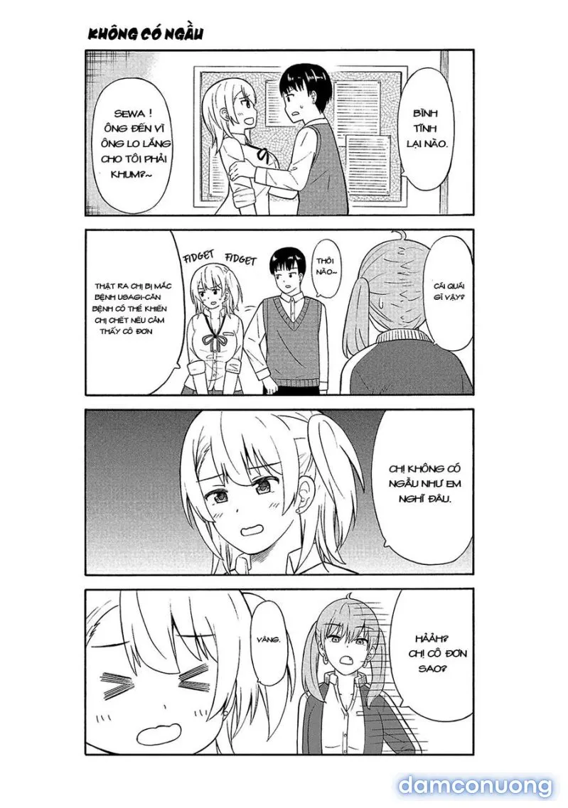 Usami-San Wa Kamawaretai! 