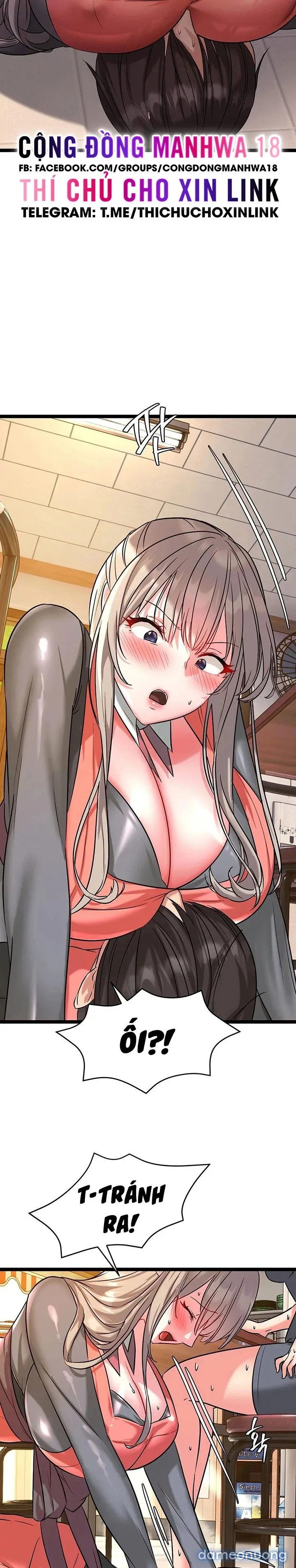 Chewy 
