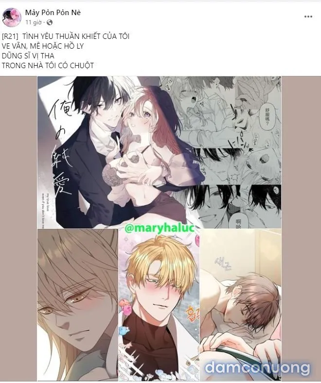 [18+] Ngủ Với Antifan 