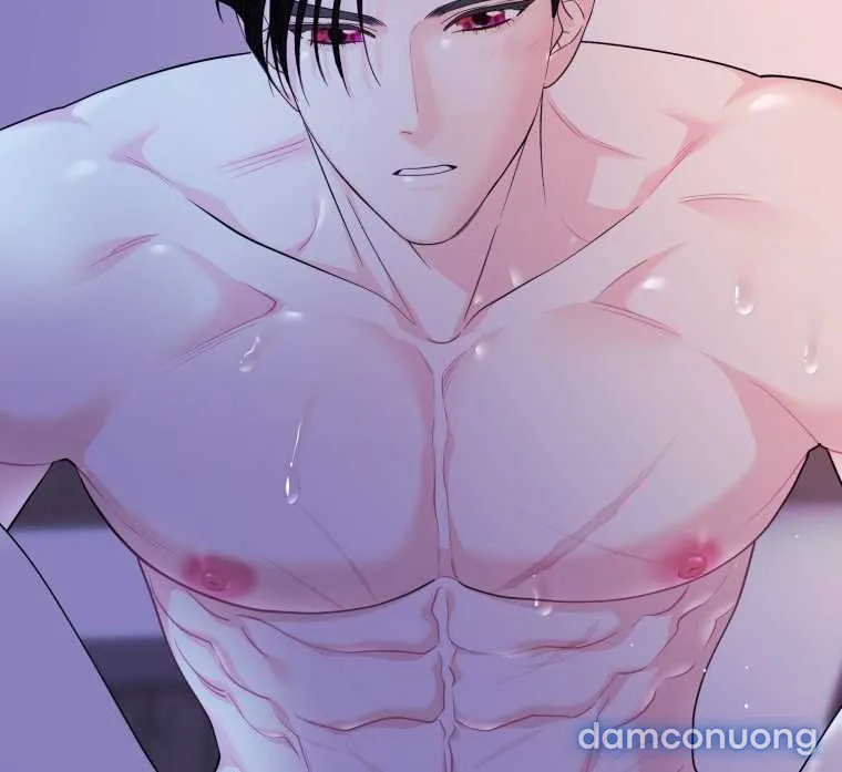 [18+] Tôi Đã Kết Hôn Với Kẻ Thù Giết Cha Mẹ 